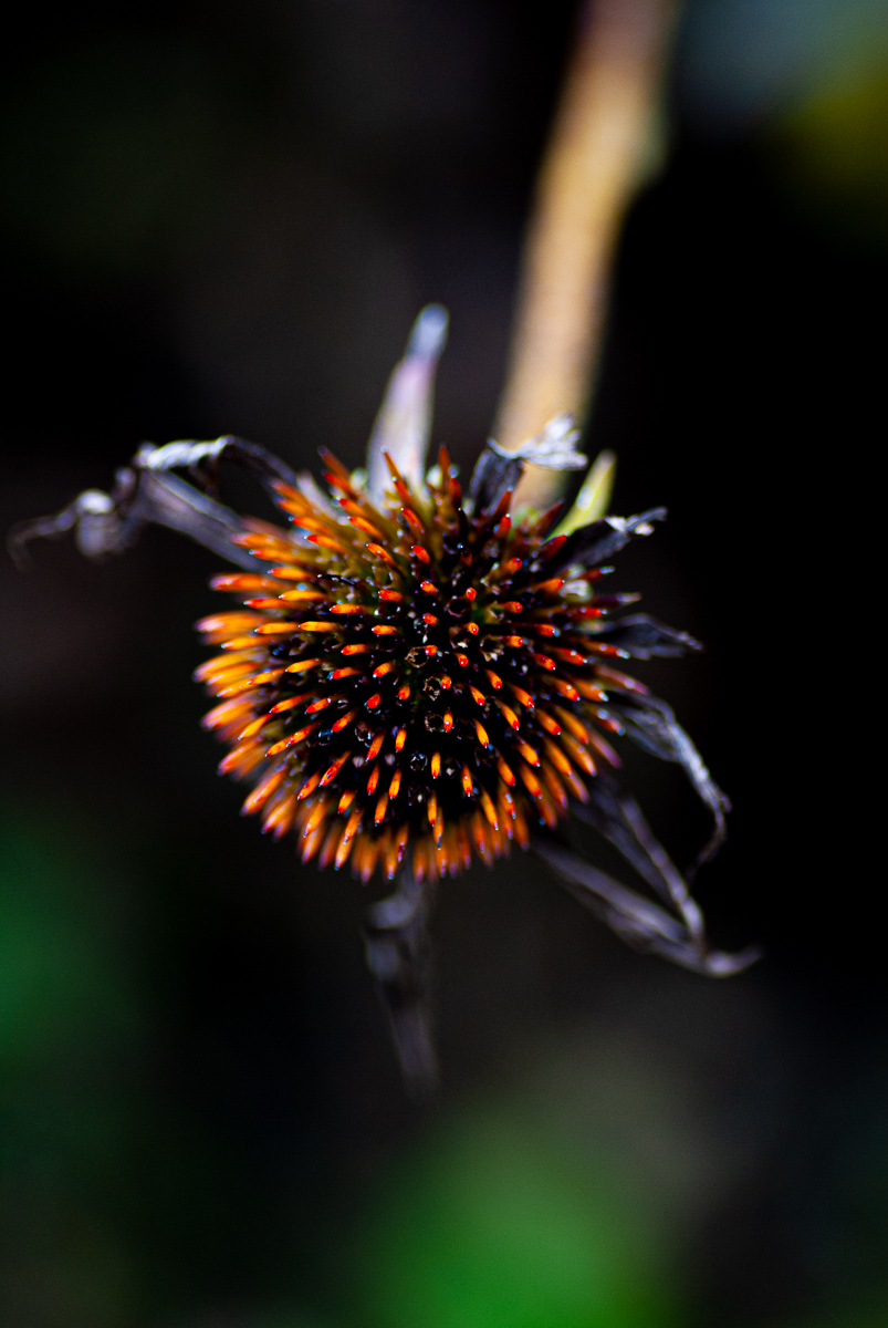 23. Januar: sehr, sehr&nbsp;positiv.