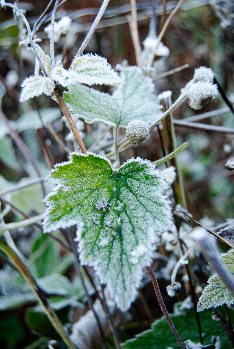 10. Januar: Klappe, die&nbsp;erste.